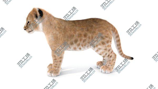 images/goods_img/20210312/Baby Lion Furry 3D/2.jpg